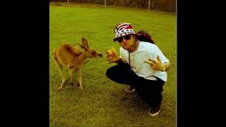 Mac Miller - Dead Presidents