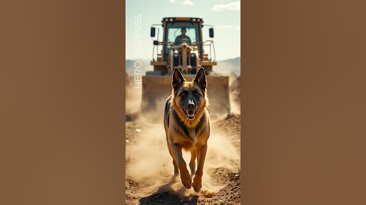 Hero Dog Saves Baby From Sandy Hole! #dog #shorts