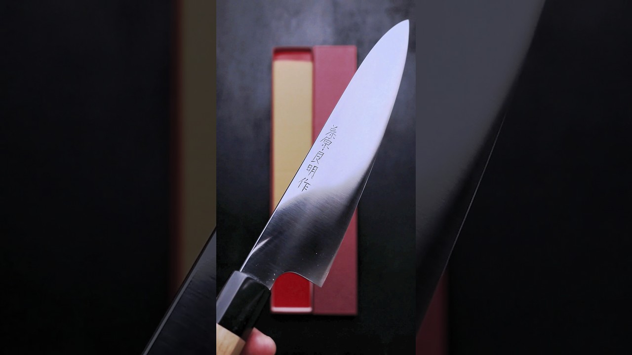 牛刀 藤原良明作 青鋼 8寸 | Gyuto Yoshiaki Fujiwara Blue Steel