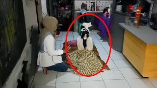 The corpse came back to life during prayers.