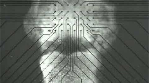 Brain avalanches help us think