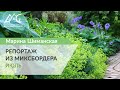 Репортаж из миксбордера. 3. Лето