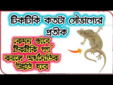 Rus tiliga tarjima bilan toliq metrajli porno