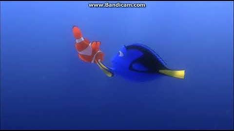 Finding Nemo Dory And Marlin Discover Whale