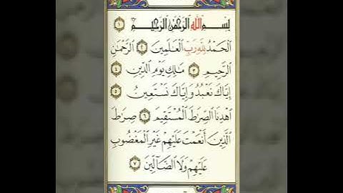 صلاة العشاء من مسجد عثمان الشيخ مصطفى الحداد كرداسة سورة البلد والشمس يوم الثلاثاء٢٠١٩/١/١/١٤٤٠/٤/٢٥