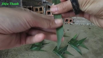 cách xếp con cá bằng lá dừa ( 2 cách làm)