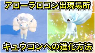 ルカリオ　ロコン集め とり店長🐤ハレツー on X: 