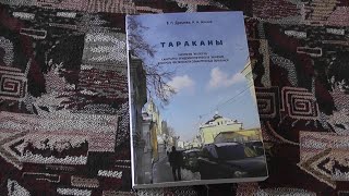 "Тараканы" (В.П.Дремова, Н.А.Алешо, 2011)