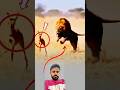 لا تغتر بقوتك فلكل قوي من هو أقوى منه ولكل جبار نهاية خواطر تأمل 