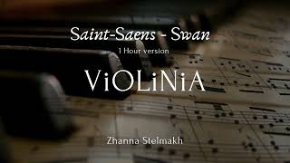 Saint Saens - Swan 1 Hour Of Violin For Relaxation, Stress Relief, Study, Sleep