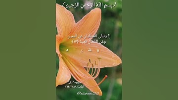 بسم‌ الله الرحمن الرحیم #الله #بهروز_رضوی #خدا #مسعود_ریاعی #سورة_ق