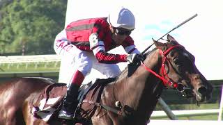 Vidéo de la course PMU PRIX CARLOS REYLES