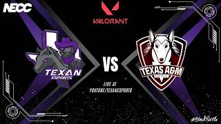 Texan Esports VS. Texas A&M Esports NECC West-Central A | Valorant | Division III