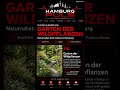 HAMBURG PULS - 5 Highlights in Planten un Blomen Wasserlichtkonzerte Japanischer Garten #shorts #ai