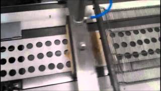Spring Roll Machine, Burrito Machine, Samosa Machine