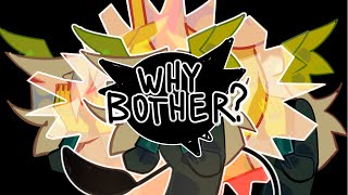 Why Bother