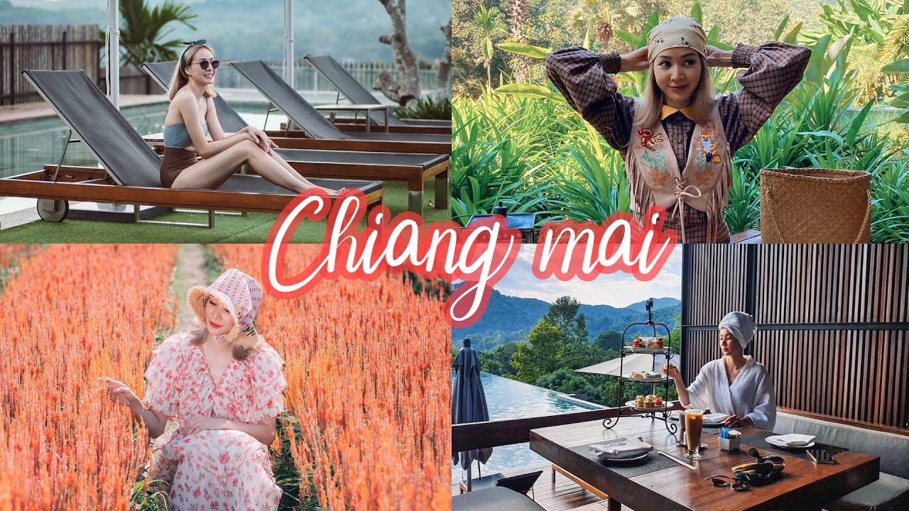 Vlog เชียงใหม่ แบบฉ่ำๆทั้ง โรงแรม คาเฟ่ ทุ่งดอกไม้ วัด และสวนสัตว์