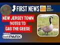 New jersey town to gas the geese  kill plan has locals upset