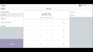 Pos Restrict Cash Control Odoo 17