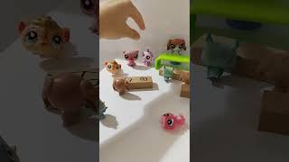 Minişlersınıf Başkanlık Seçimilps Mirnav Tv