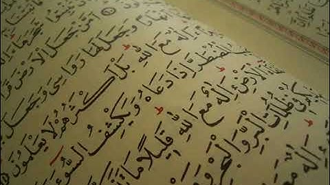 سورة البينة عبد الله المطرود