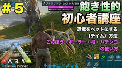 すなば Sandboxtube