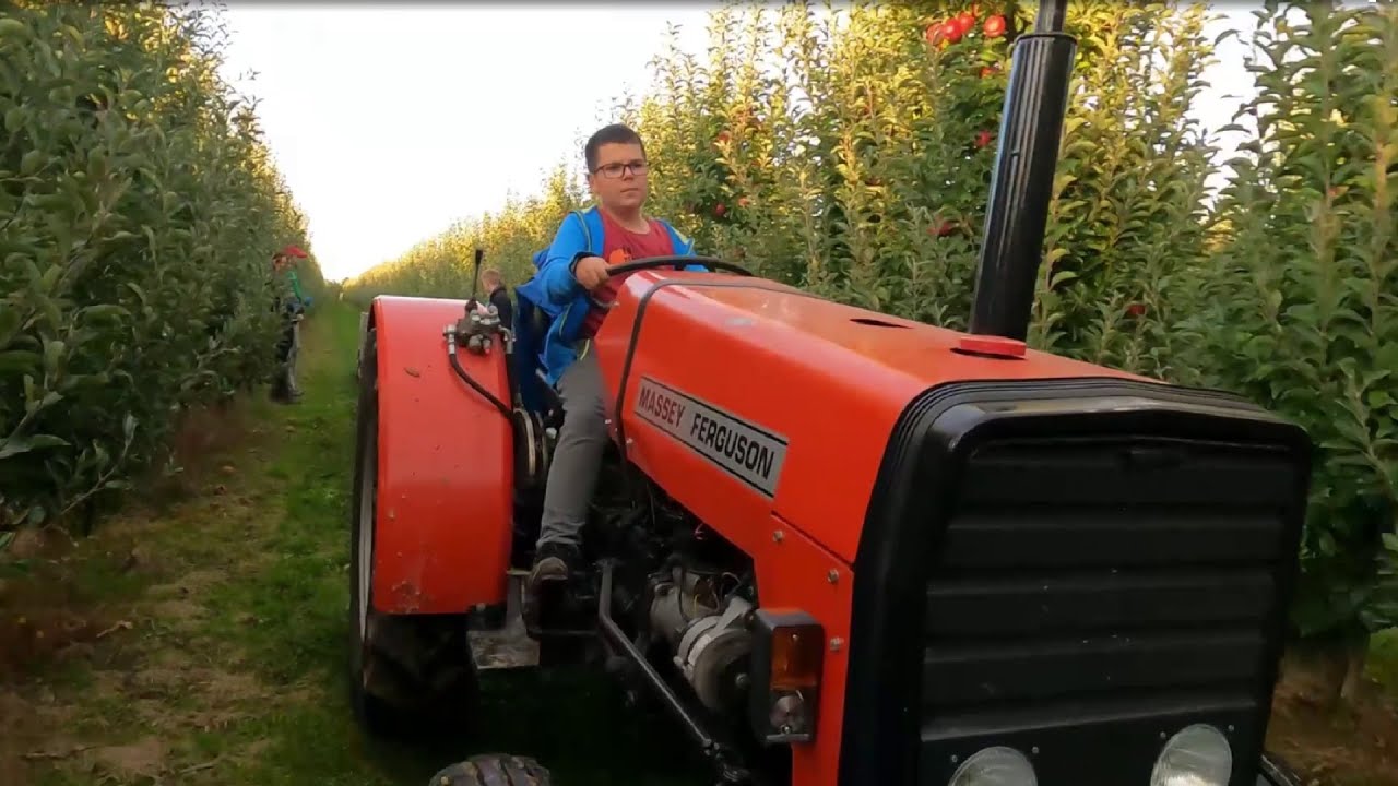 Mateusz oporowiec - Ciąg dalszy zbiorów Idareda