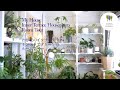 観葉植物 わが家のインナーテラスのインテリアグリーン 鉢や雑貨のルームツアー［Houseplant Vlog Interiorgreen］