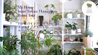 観葉植物 わが家のインナーテラスのインテリアグリーン 鉢や雑貨のルームツアー［Houseplant Vlog Interiorgreen］