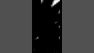 Thumbnail of Min første kjærlighet - Jan Teigen remix
