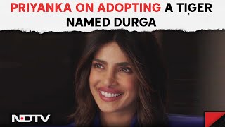 Priyanka Chopra On Her Next Project, Adopting A Tiger And More