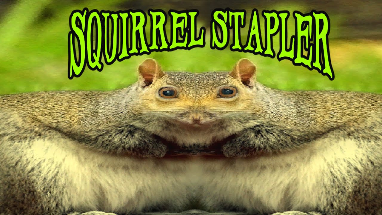 The New and Improved Squirrel Stapler a Horror Game Where God is Coming