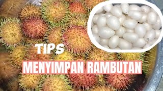 TIPS / CARA MENYIMPAN RAMBUTAN AGAR TAHAN LAMA