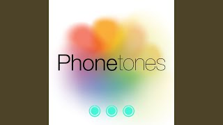 Essential Professional Business Alert Tone SMS - Release - Topic