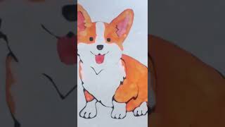 Корги🐶🐾@MegaFonTV  Как вам!