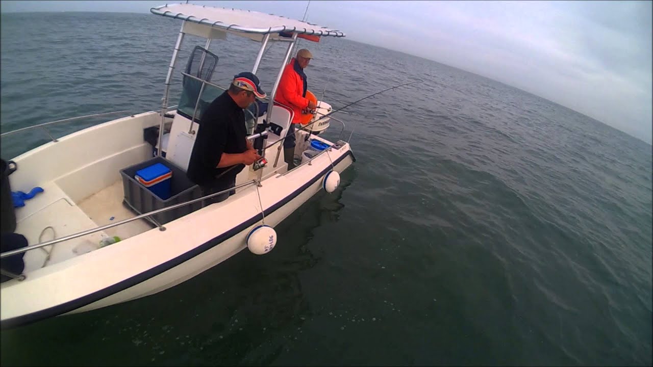 Peche a la daurade 2017 Clearance