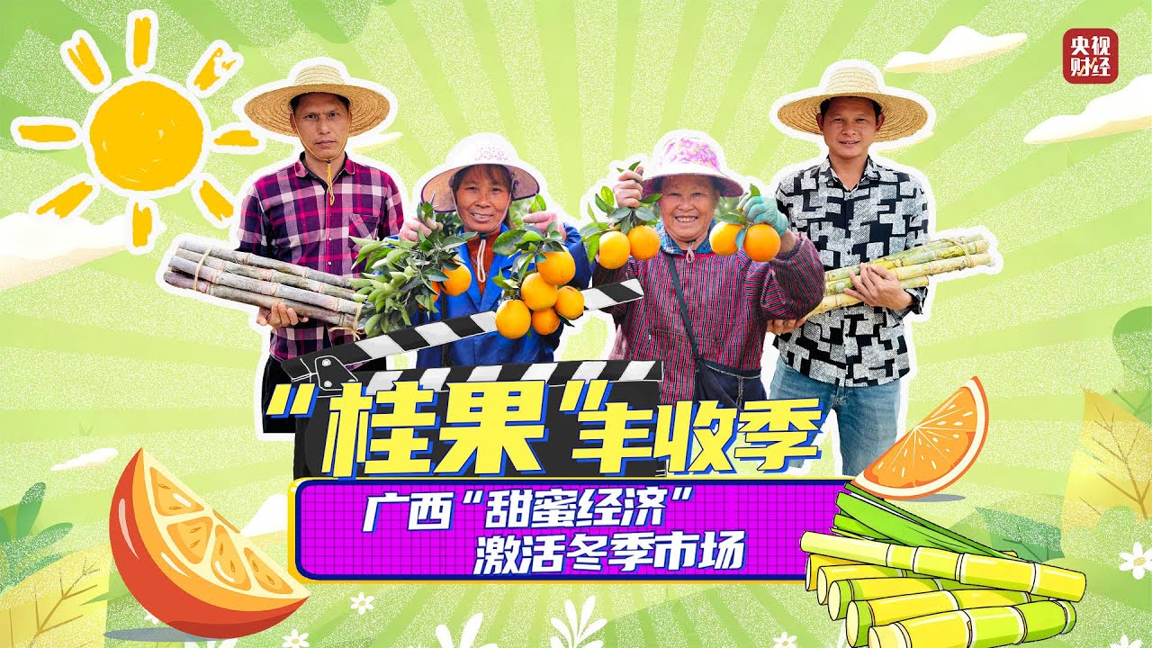 LIVE: "Sweet Economy" in Action: Guangxi's Fruit Harvest Heats Up Winter Sales