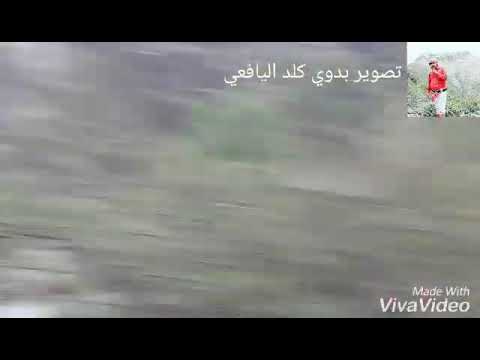 سيول الحنشي يافع كلد منطقه الحنشي صيف2018 تصوير بدوي كلد اليافعي