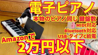 【一応、ネコ動画】Amazonで2万円の電子ピアノを買ったので、猫と一緒に確認してみた