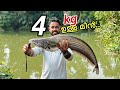  10    kerala traditional fishing and cookingfishingfreaks