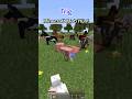 Minecraft Mob Hunt #shorts #minecraft