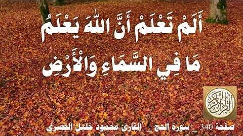 340 الصفحة   القرآن الكريم   سورة الحج   بصوت الحصري
