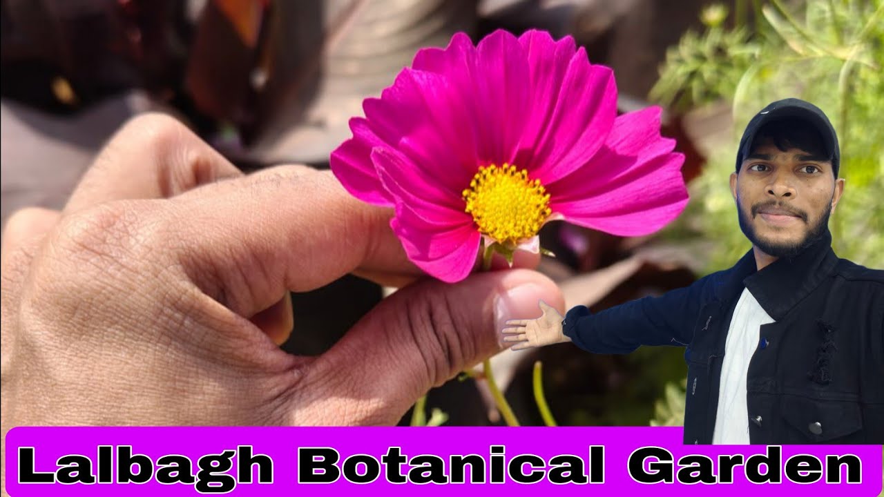 Lalbagh Botanical Garden Bangalore Tour | Exploring Greenery in the Heart of City 🌿