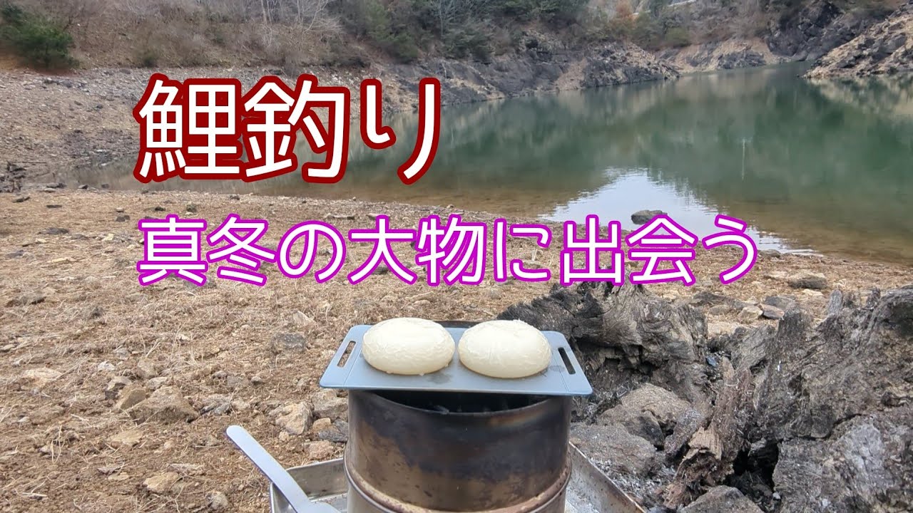 【＃鯉釣り＃carpfishing】２月のダムで真冬の大物に出会う