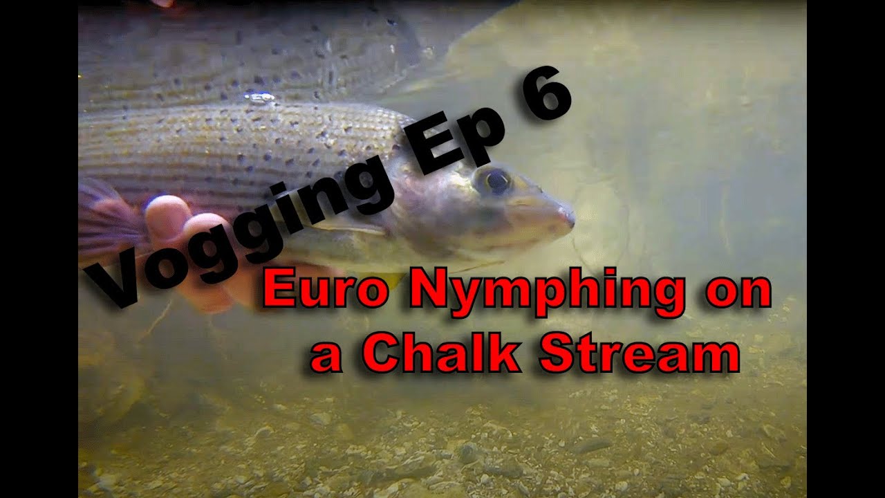 Euro Nymphing Slow Glides (Wiltshire Avon)