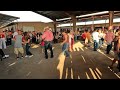 Dance    in pulga de alamo texas  wj travels