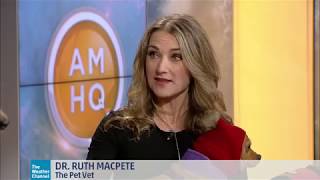 Dr Ruth MacPete, The Pet Vet, shares Winter Pet Safety Tips on The Weather Channel