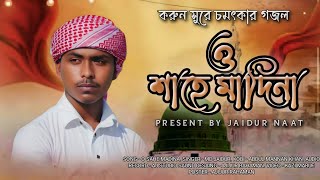 ও শহ মদন নবর ভলবসর নশদJaidul Islamহদয জডন বল গজলO Sahe Madina