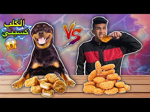 تحدي مين هياكل اسرع ضد كلابي يا ترا انا اسرع ولا هما