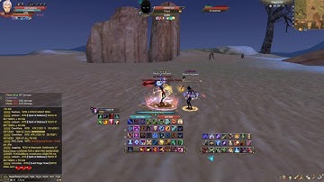 Epic Perfect World- Wizard vs Assassin| 1v1 Session